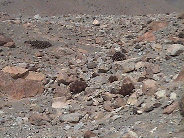 Descripción: foto 1