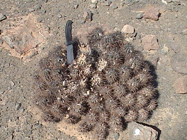 Descripci�n: foto 3