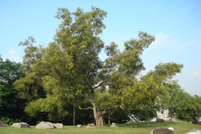 Descripci�n: photo