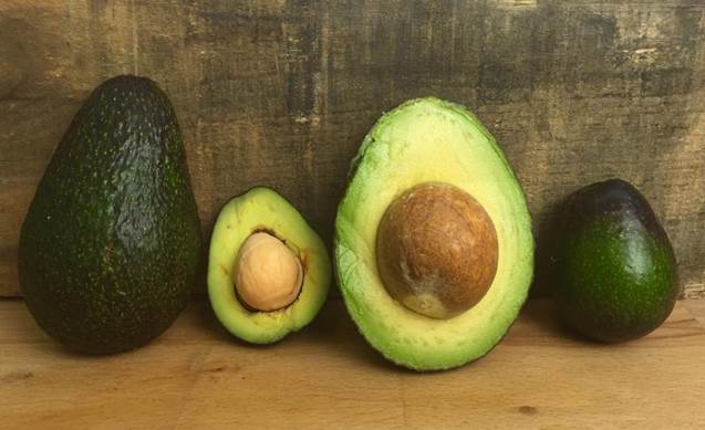 Descripci�n: Un aguacate con una manzana verde sobre una superficie de madera

Descripci�n generada autom�ticamente con confianza media