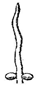 Descripci�n: C:\Users\amdx6\Documents\chlo-web\loasa-alain\LoCaespitosa_archivos\image001.png